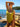 Volcom SO Current 1PC